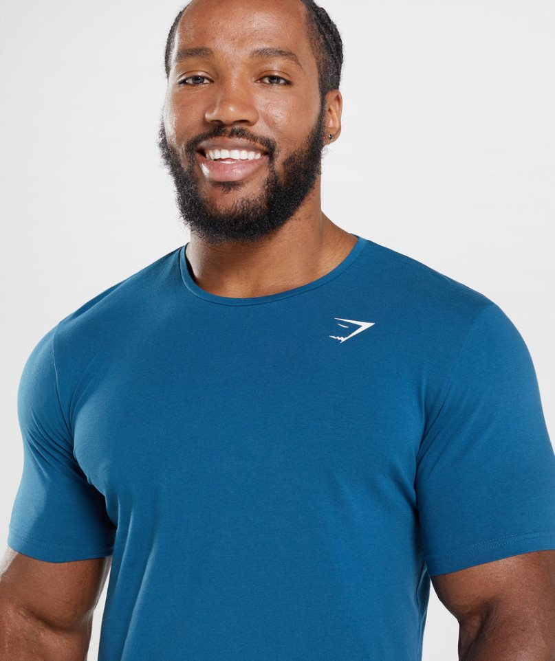 Men's Gymshark Essential T-Shirts Blue | NZ 2WOSNL